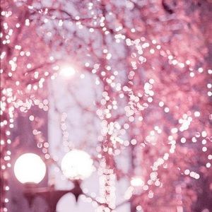 Meet your Posher, Daisy